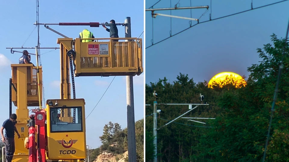 Leylekler için harekete geçildi: TCDD’den Küçükçekmece’de yeni çalışma
